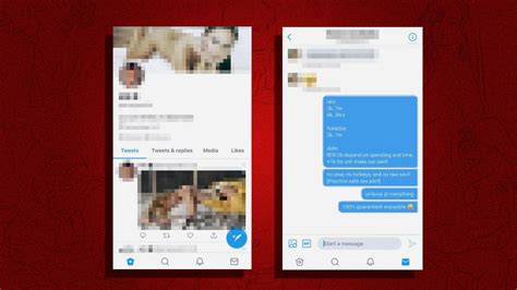 (PDF) Twitter Alter Accounts: Restricted Sexual .
